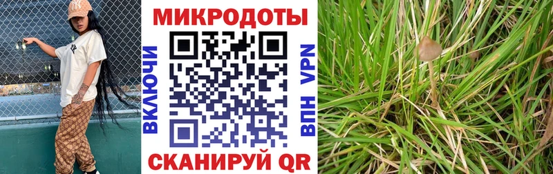 Галлюциногенные грибы Magic Shrooms  Вытегра 